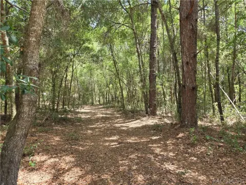 Dunnellon, FL Buildable Lot