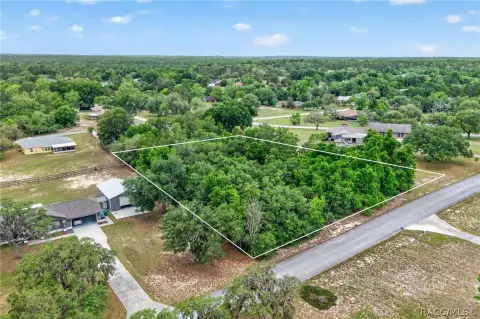 Wooded Homesite in Inverness, FL