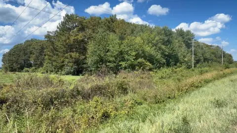 Cypress Hunting Acreage