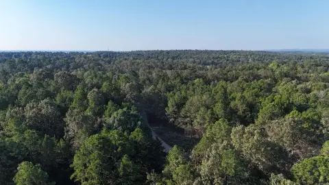 Timber Hunting Land