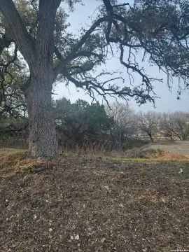 Residential Lot in Olympia Subdivision