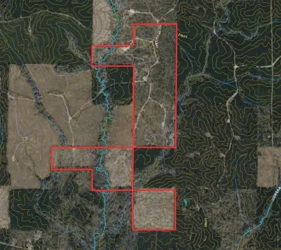 Grayson, LA Vacant Hunting Land