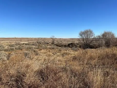 Vacant Land in Pueblo West