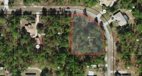 Premier Wooded Corner Lot