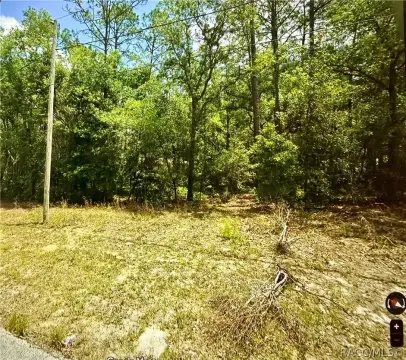 Residential Lot in Citrus Springs