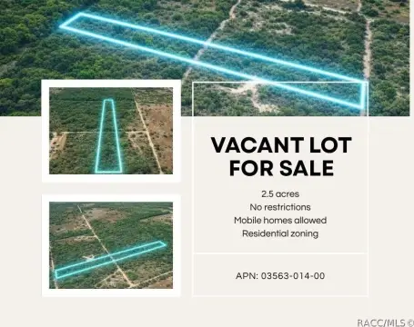 Bronson Land Parcel For Sale