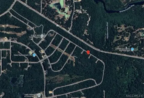 Citrus Springs Wooded Lot