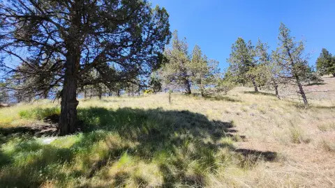 Residential Land in Ochoco West