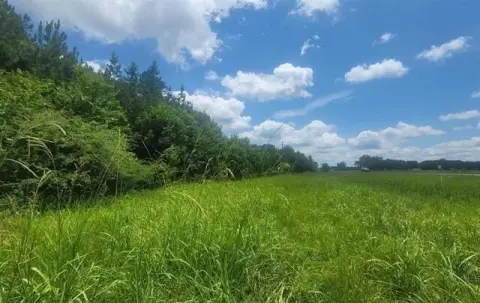 Harpersville Commercial Land on Highway