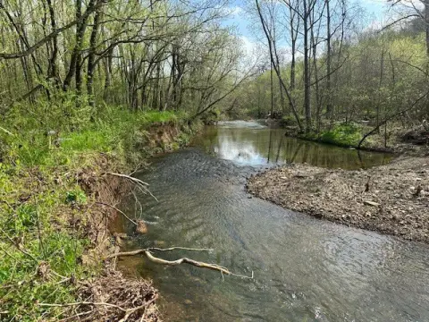 Pulaski, TN Vacant Land