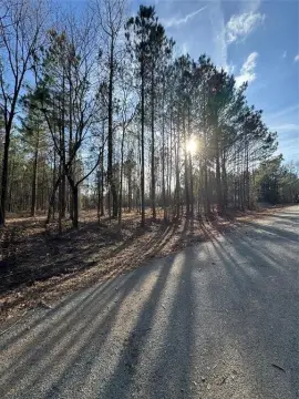 9-Acre Wooded Tract Near Minden