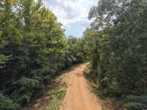 Hunting Land with Interior Trails