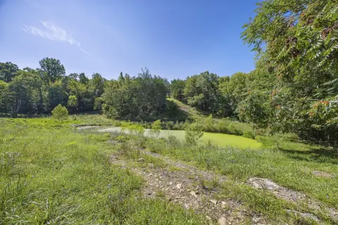 Agricultural Land with Barns