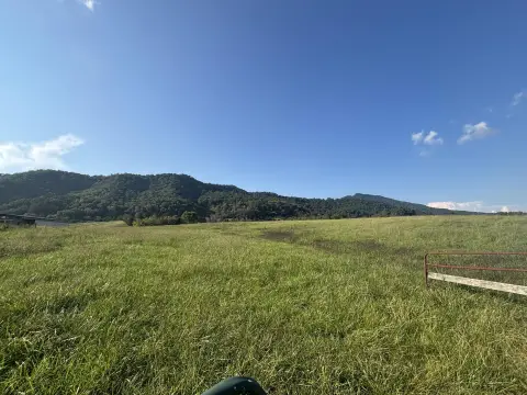 Agricultural Farmland with Fencing
