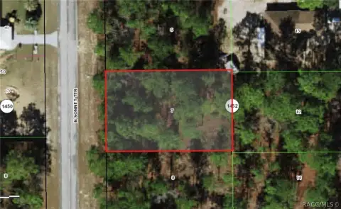 Wooded Lot in Citrus Springs
