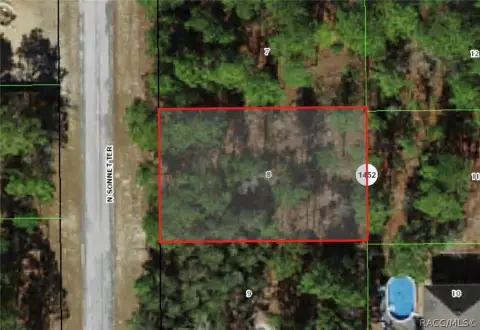 Wooded Lot in Citrus Springs