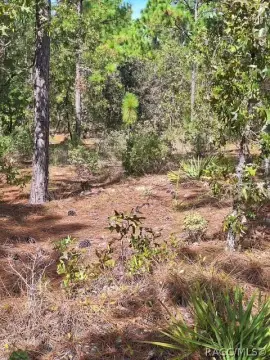 Dunnellon Homesite in Citrus Springs