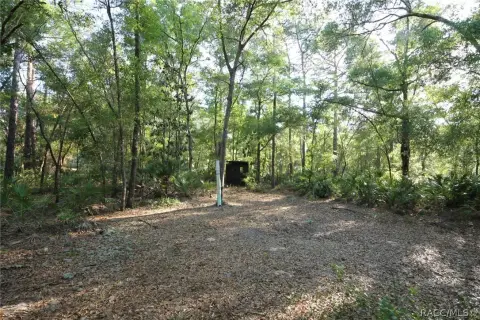 Homosassa Land for Custom Home