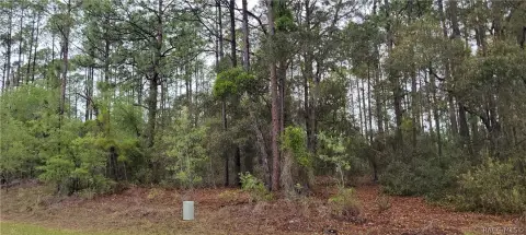 Homesite in Citrus Springs