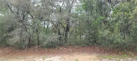 Citrus Springs Land Opportunity
