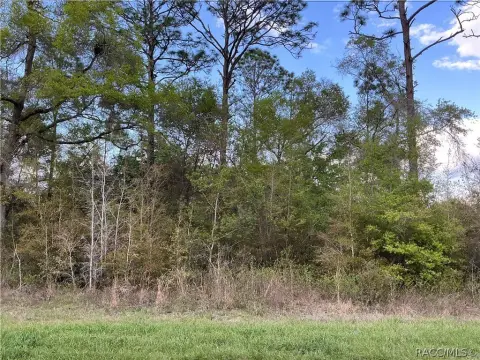 Citrus Springs Oversized Homesite Lot