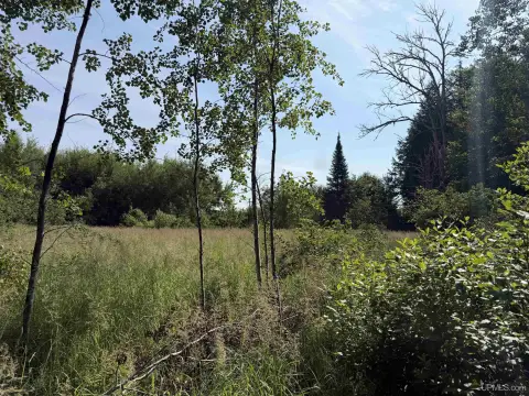 Recreational Hunting Land Parcel