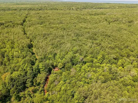 Riverfront Hunting Land Tract
