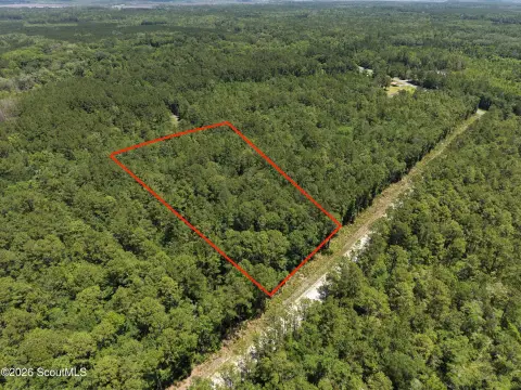 Wooded Acreage Tract