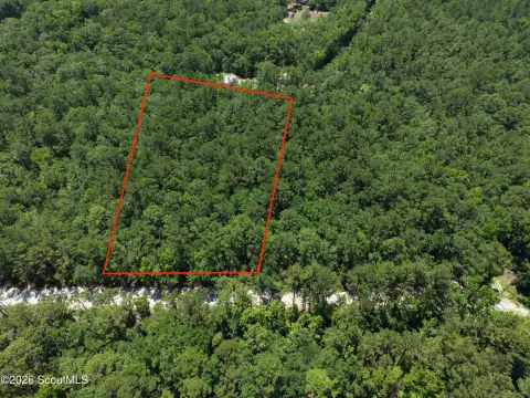 Wooded Land Tract with Planted Pines