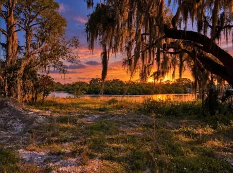 Waterfront Creekfront Land