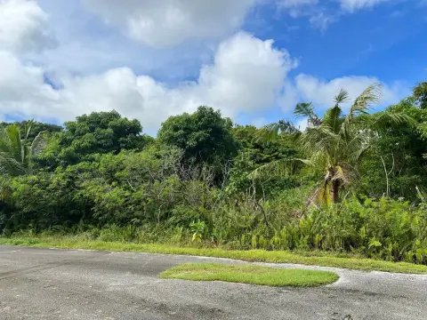 Expansive Agricultural Land Holding