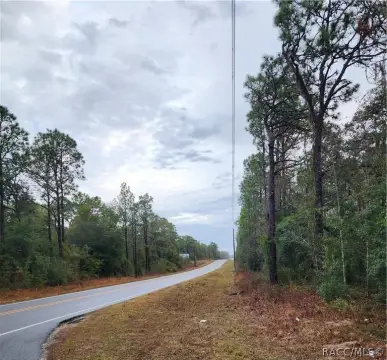 Dunnellon, FL Land For Sale