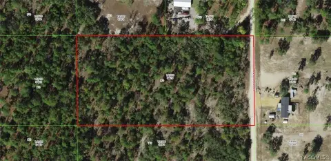 Wooded Lot Near Crystal River