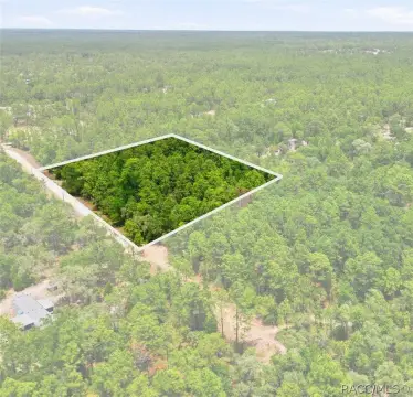 Dunnellon Land Parcel For Sale