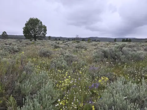 Sprague River Recreational Land