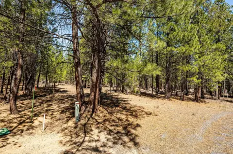 La Pine Acreage with Pines