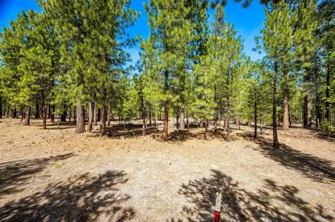 La Pine Land Ready to Build