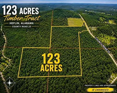 Timbered Recreational Land