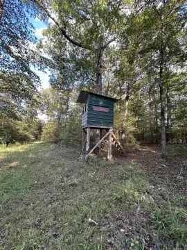 Hunting Land with Creek Boundary