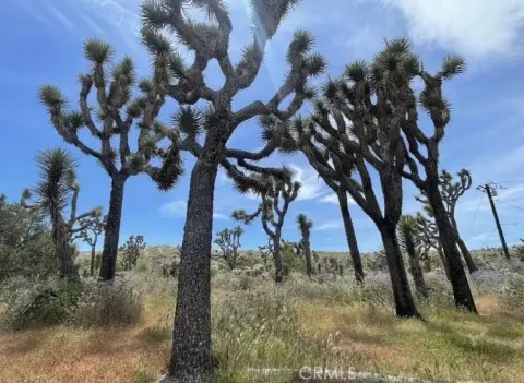 Yucca Valley Vacant Residential Lot