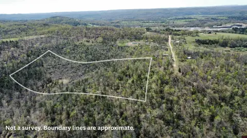 9.75 Acres in Yellville, AR