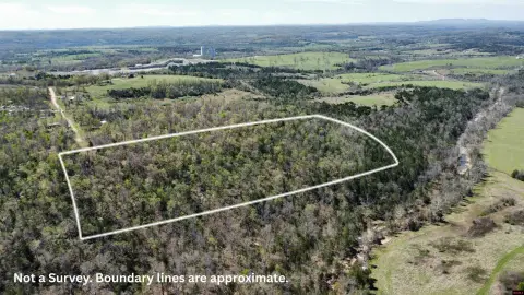 Secluded Wooded Acreage For Sale