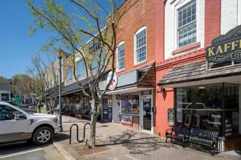Downtown Ellijay Commercial Building