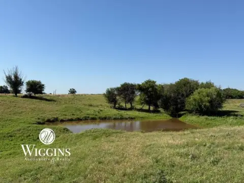 Grain, Pasture and Pond Tract