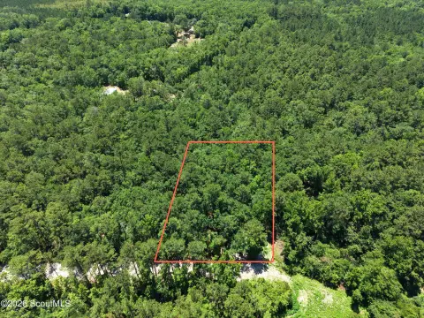 Wooded Residential Acreage Tract