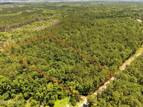 Wooded Recreational Homesite Acreage