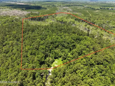 Wooded Recreational Land Tract