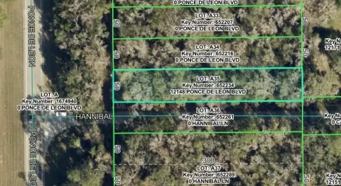 Wooded Agricultural Land
