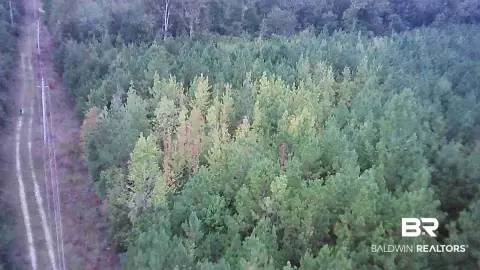 Wooded Hunting Land