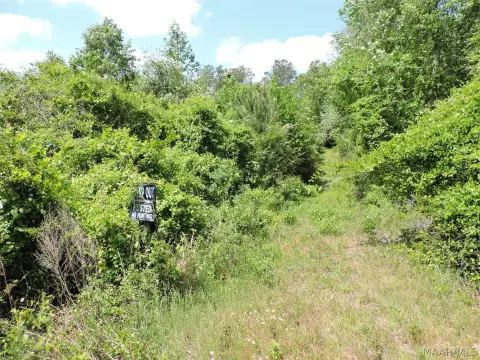 Vacant Land in Greenville, AL